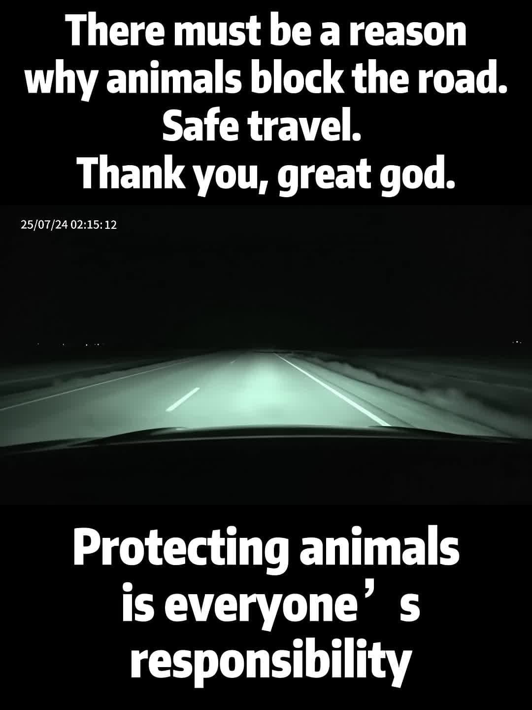 cover for There must be a reason why animals block the road. Please go in and out safely. Thank you, Great God