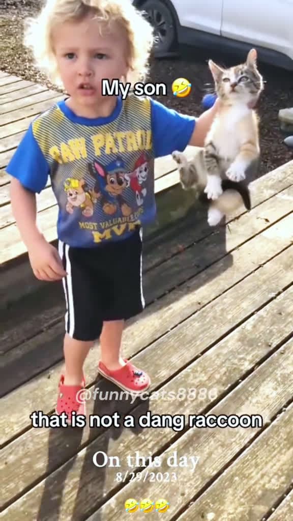 cover for fyp fyp viral foryou foryoupage cat cats catsoftiktok 81183 #trendingscoopz