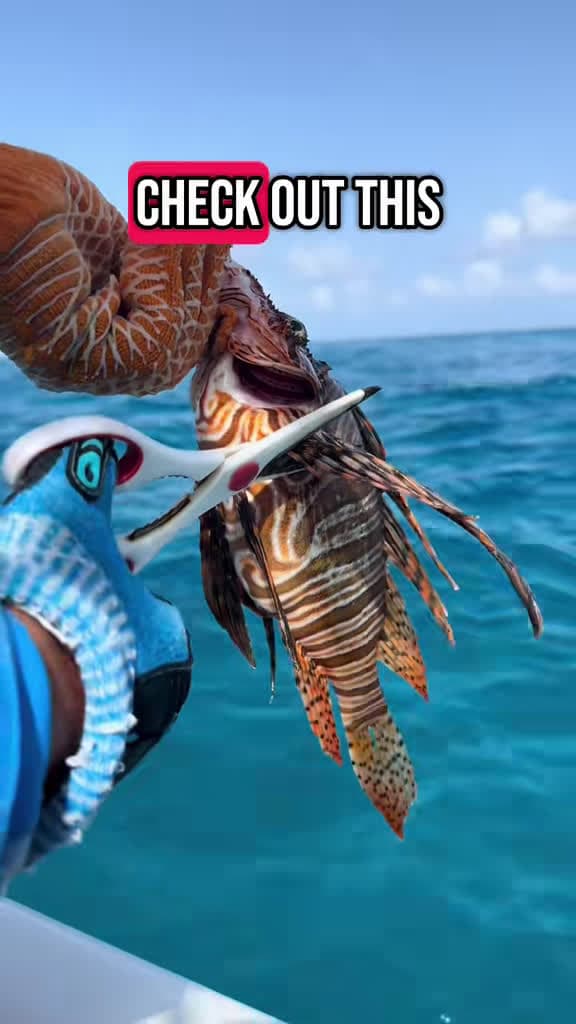 cover for What's your favorite fish to eat? 🐟 #fish #boatlife #lionfish