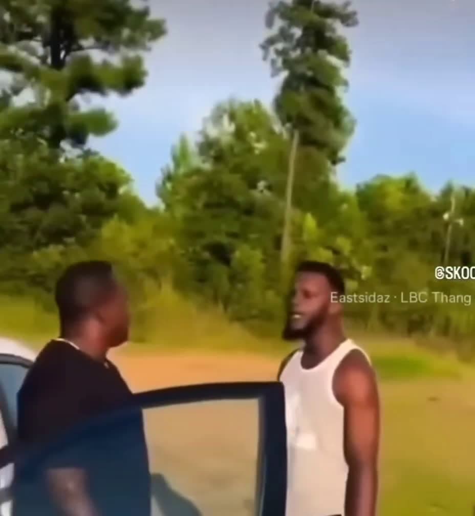 cover for He tazed him 😂😂😂😂