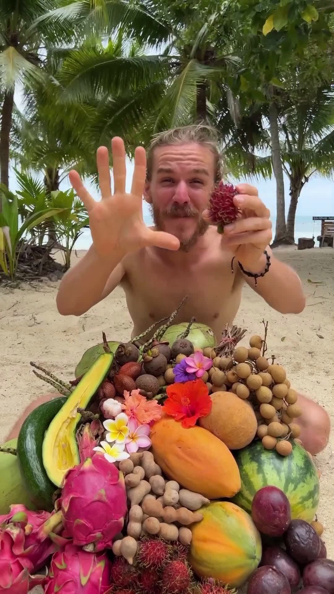 cover for Have You Tried This Fruit Before?