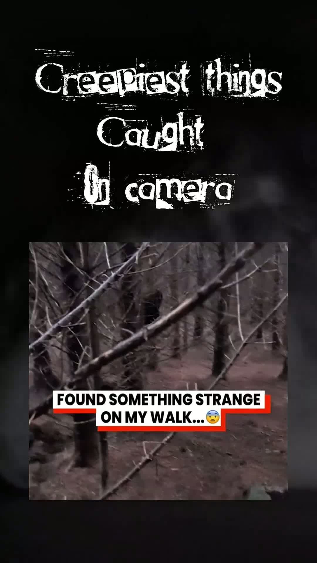 cover for #CaughtOnCamera  #scary  #horror  #terror