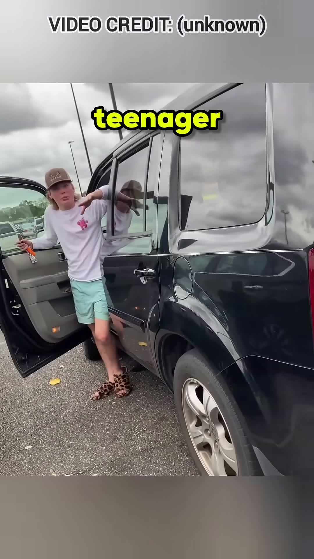 cover for Driver Tries To Flee Gets Instant Karma