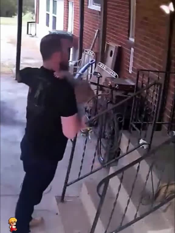 cover for Daddy's reaction saved the baby from falling #dadsoft #reactions