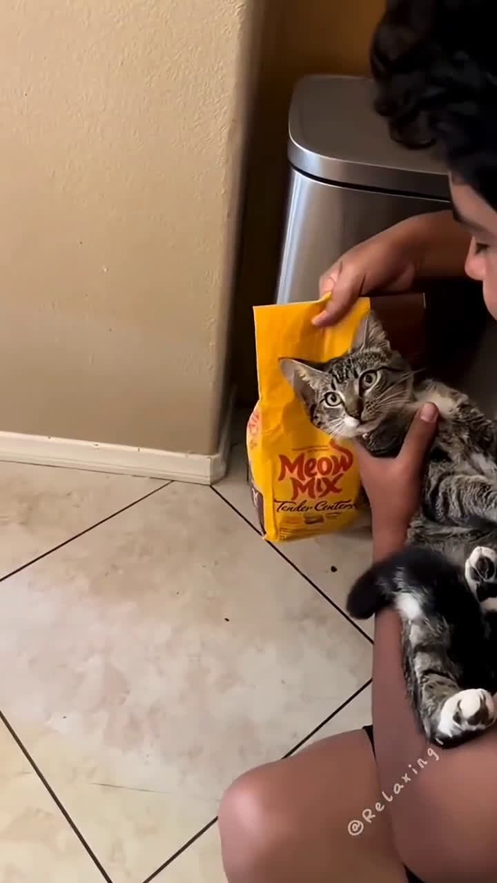 cover for Oddly satisfying moments you can’t look away from! 🤩 #Satisfying #OddlySatisfying #Mesmerizing