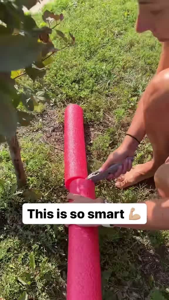 cover for Transform your garden with this genius pool noodle trick! 🏡🌿 #GardeningHacks #EasyDIY