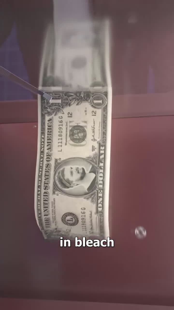 cover for The Fake $100 Made From A Real $1 😳