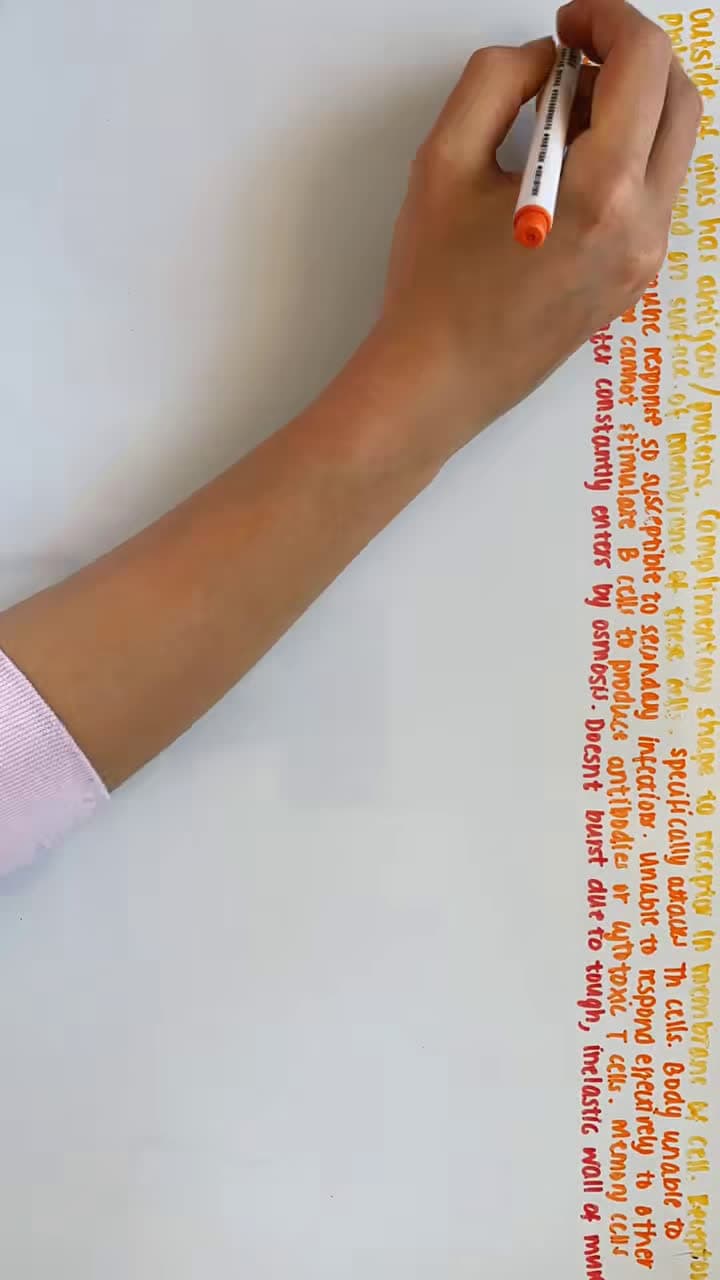 cover for timelapse of a biology blurt of viruses 🧫 #fyp #viral #foryou #foryoupage #biolgy #study #revision #whiteboard #notes #aesthetic #timelapse