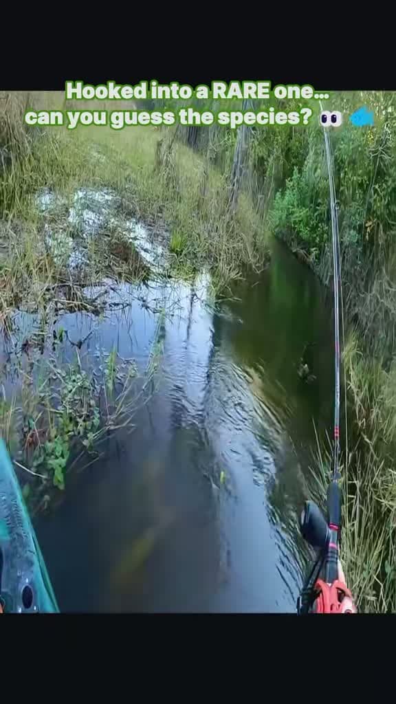 cover for Not just a fish... this catch will surprise you! 🐟 #FishingLife #GoneFishing