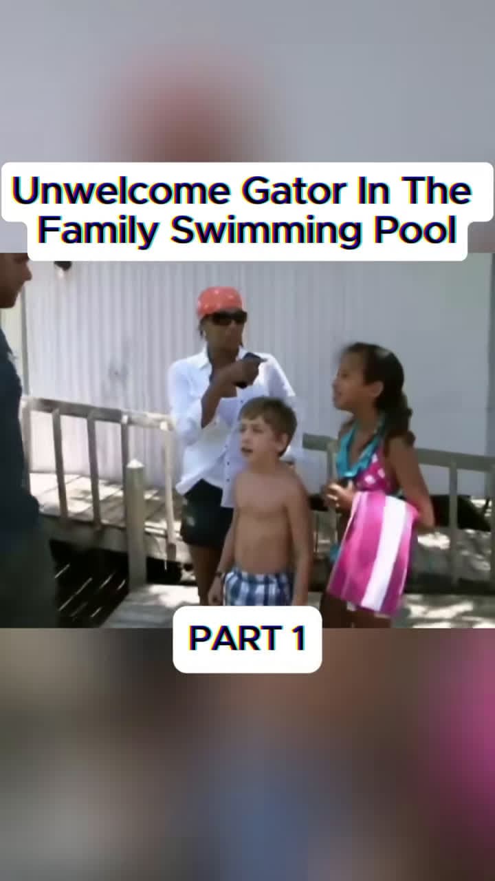 cover for Uninvited gator crashes the family pool 🐊😳 #Gator #PoolCrash #Wildlife #FamilyPool
