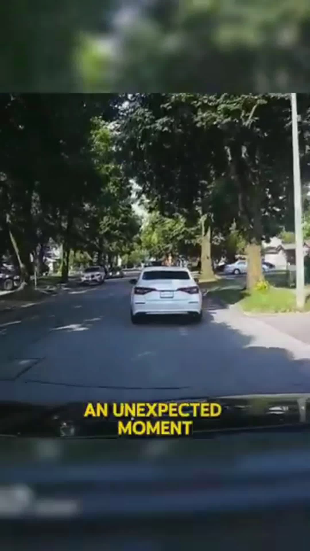 cover for E-Biker Got Arrested on Residential Street