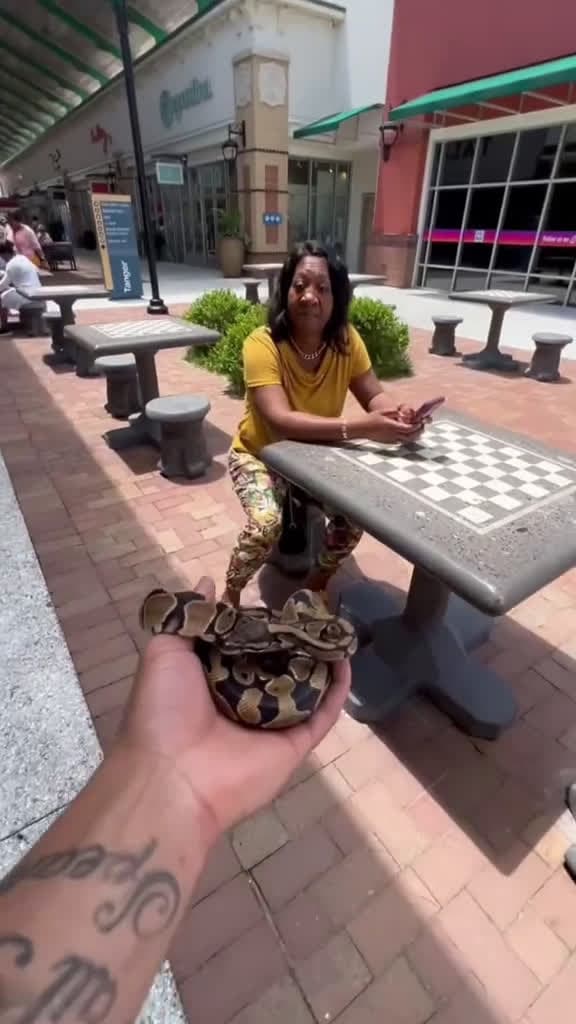 cover for SNAKE PRANK GONE WRONG fypage foryoupage viral explore funnyvideos pranks snakepr 39531 #shortvideos