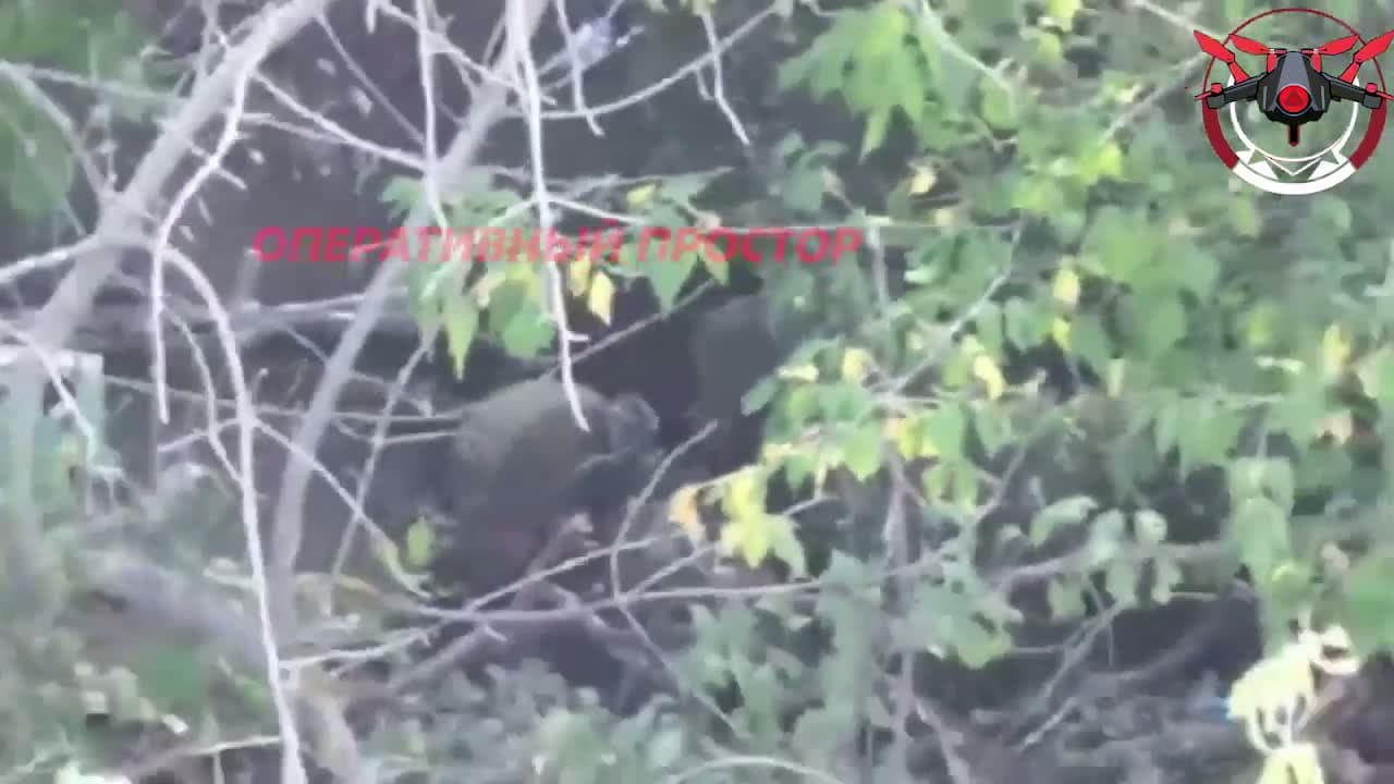 cover for Shocking moment Ukrainian soldier is set ablaze by a Russian FPV drone🔥 #WarZone #FPVDrone #UkraineConflict