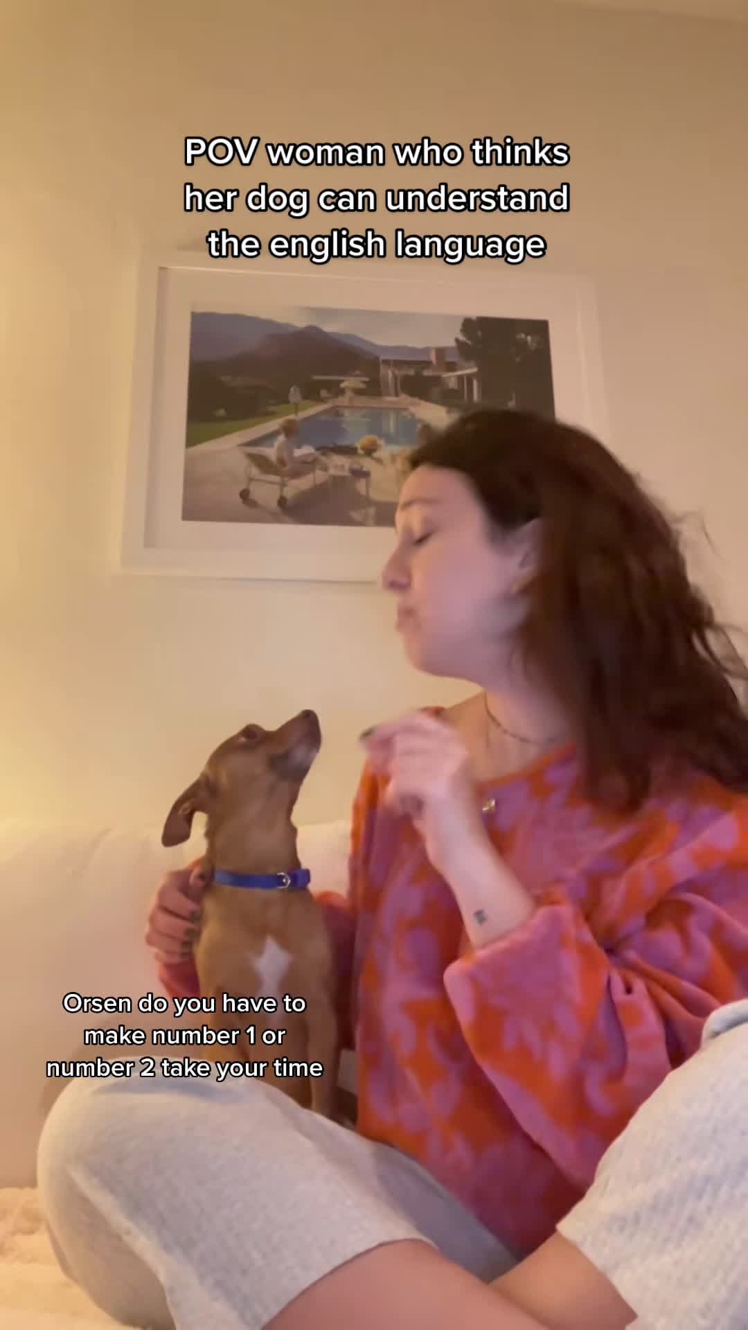 cover for honey please spare the GRAMMAR #dogsoftiktok #dogowner #dog #comedy #viral #fyp #fypシ #pov #povs