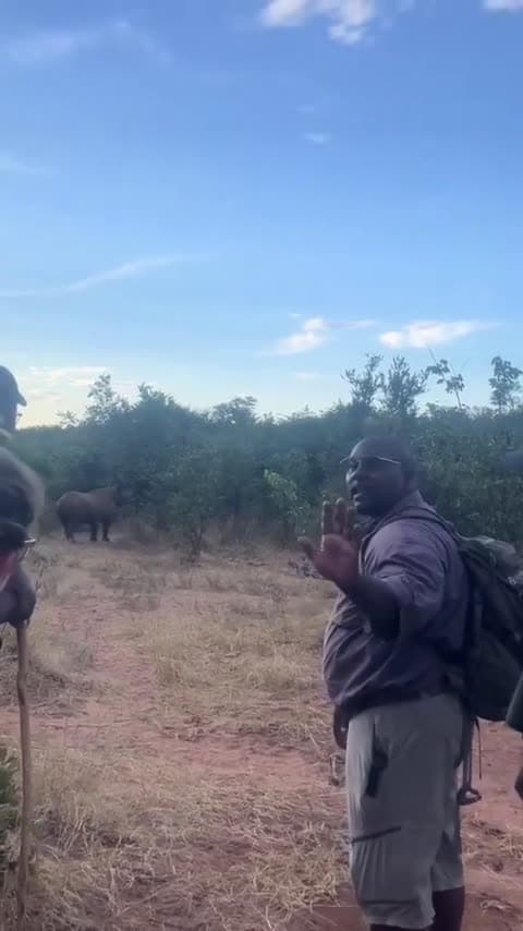 cover for That moment when your safari guide says, 'don't run from a charging rhino' and you actually listen 🦏😳 #Safari #Rhino #Wildlife #Travel #Adventure