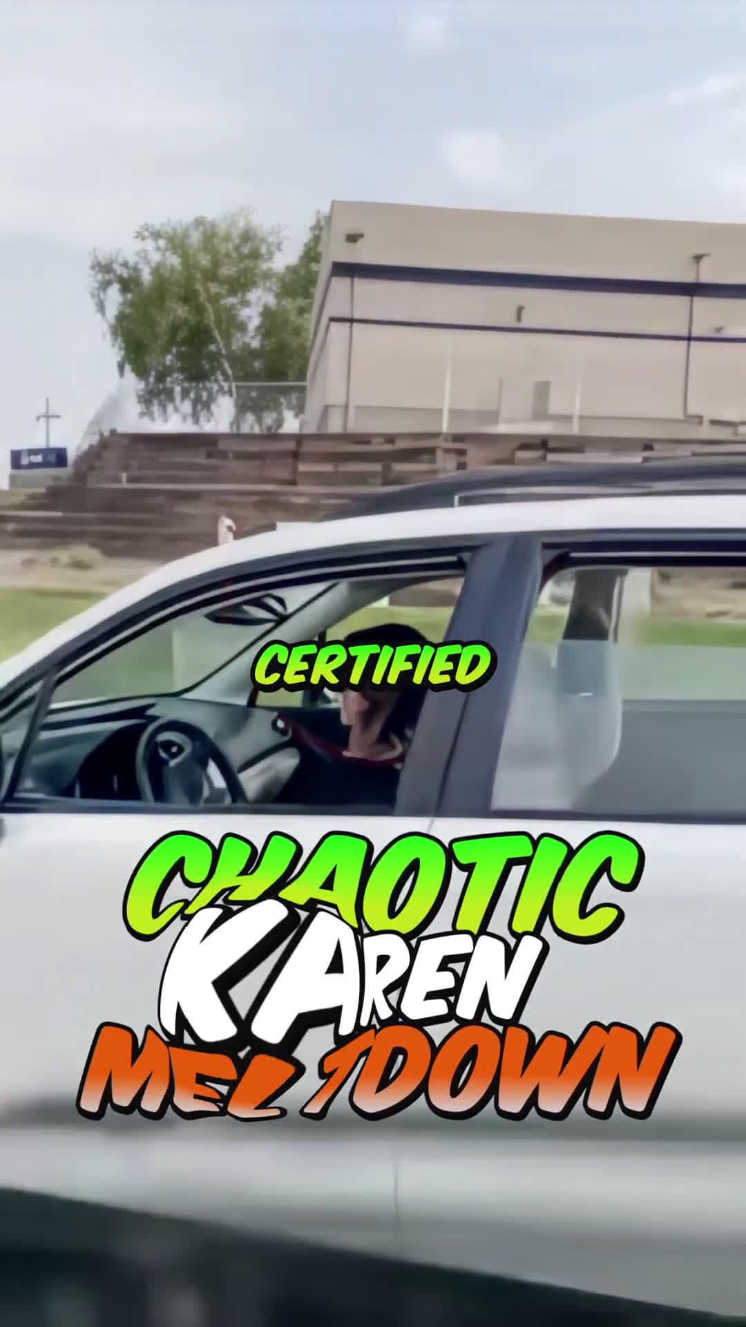 cover for Karen Goes Full Psycho in Road Rage Meltdown 😳