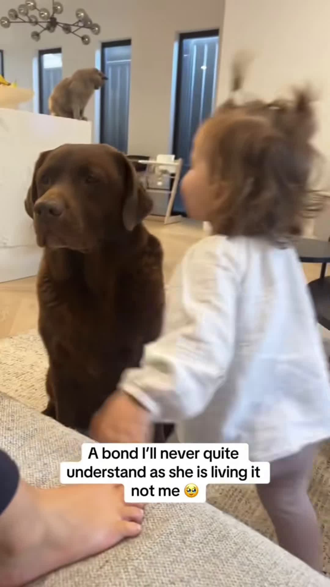 cover for #FirstVideoChallenge Best friends ❤️#dog #baby #pets #cute #love #lovestory 