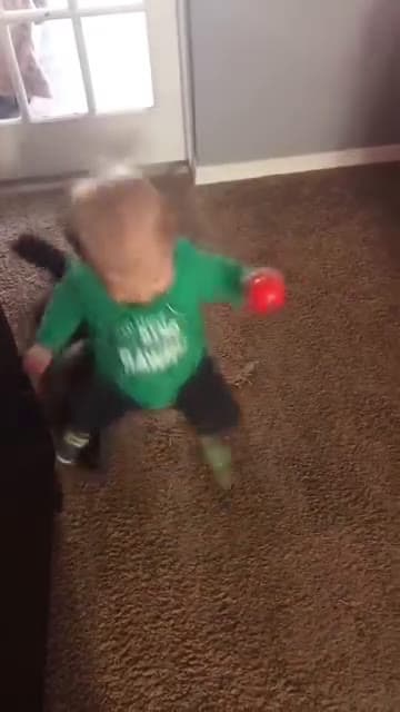 cover for #baby #kids #cat #catoftiktok #funny #fyp