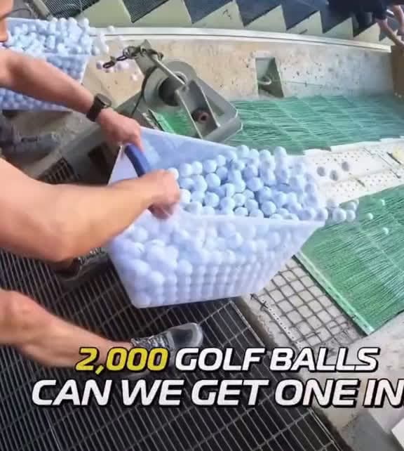 cover for #golf #fyp #fyp #viral #trending #fun #funny # # #following #follower