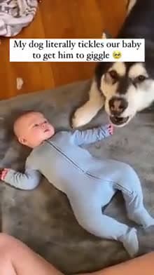 cover for Absolutely heart-melting moments 🥰 #TooCute #Heartwarming #Adorable