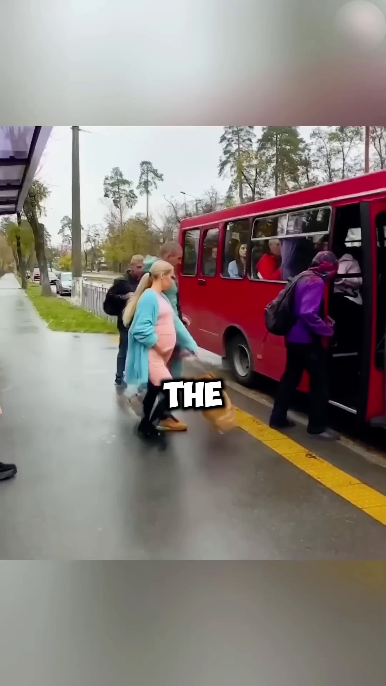 cover for Bus driver help a pregnant woman