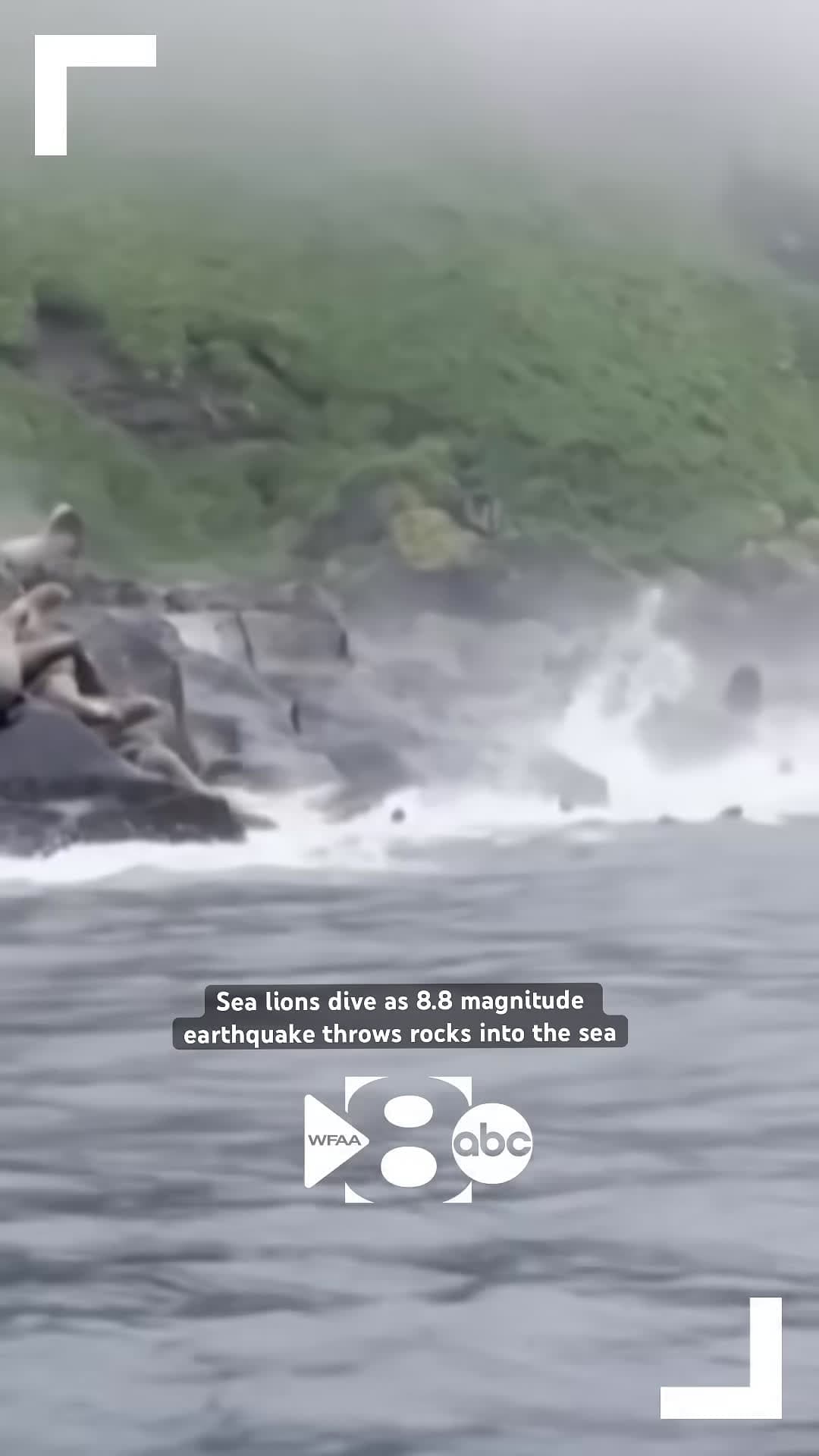 cover for An 8.8 magnitude earthquake in Russia sent rocks tumbling down a cliff, causing sea lions to dive