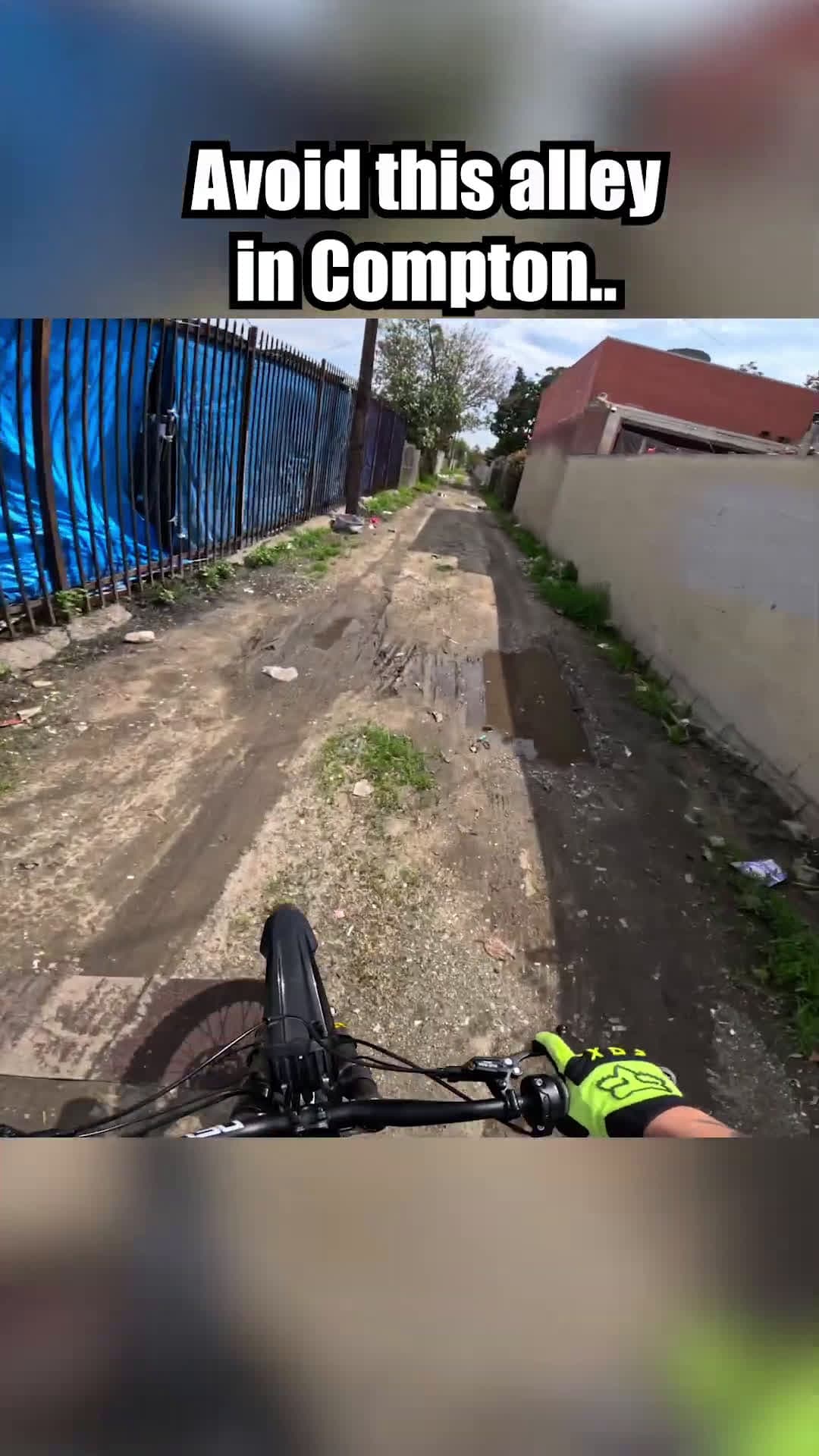 cover for This Alley in Compton Had Me on Edge
