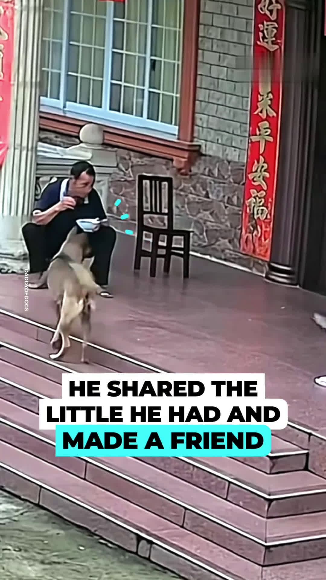 cover for Kindness is a universal language 🐕🐈‍⬛If everyone followed this dog's example, the world would be a better place.