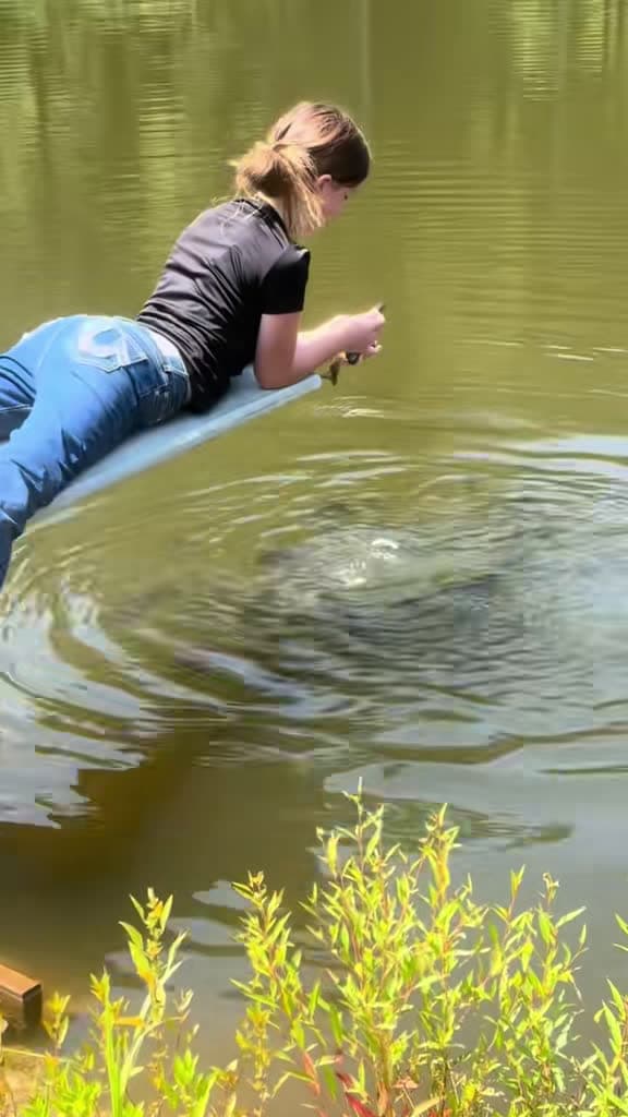 cover for When fishing’s too easy, hands are the next move 😂 #Kentucky #Fishing #CountryLife