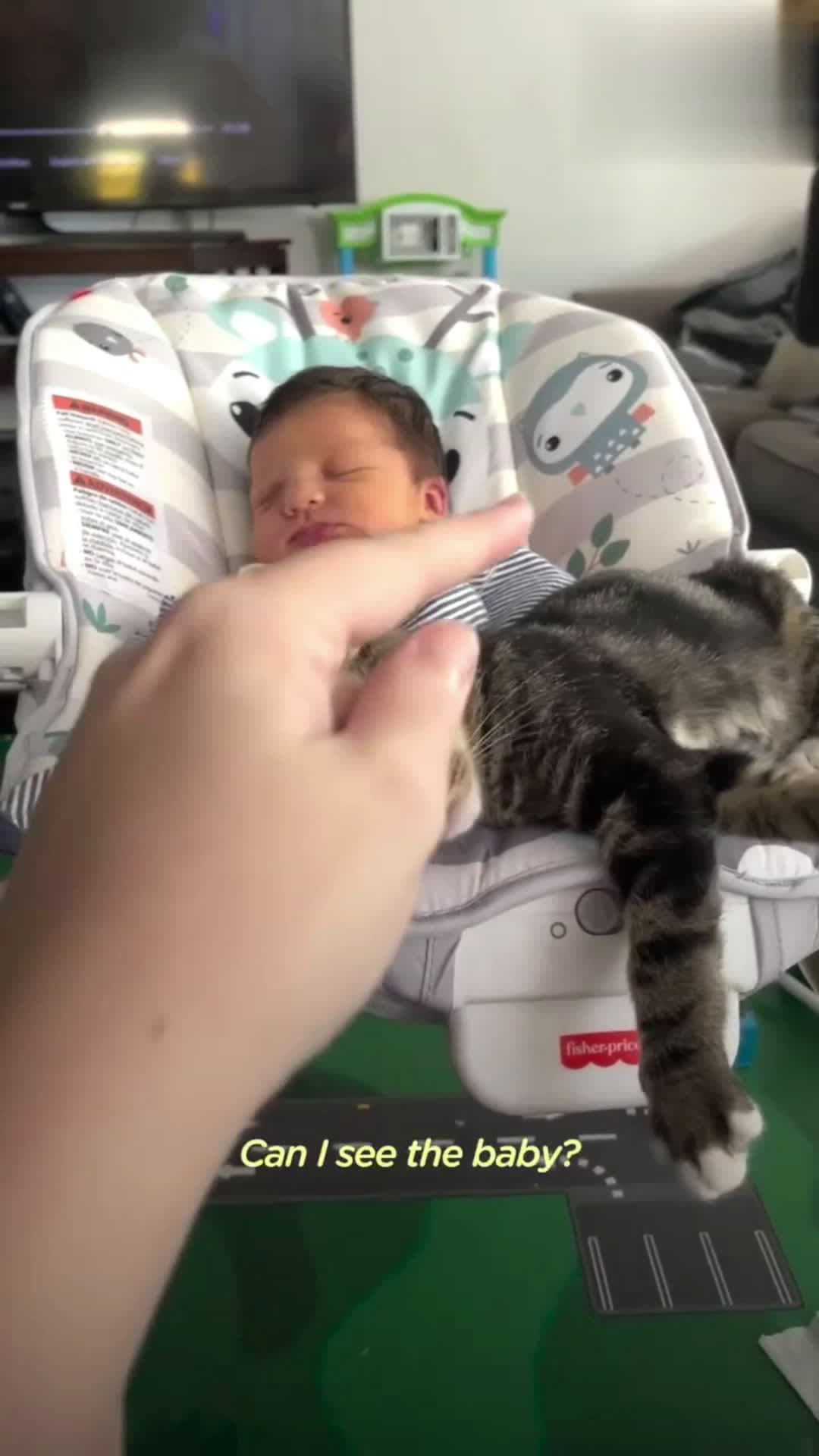 cover for Kitten is so obsessed with her baby sister, she insists on supervising bath time and has to be in the stroller with her when they go on walks ❤️