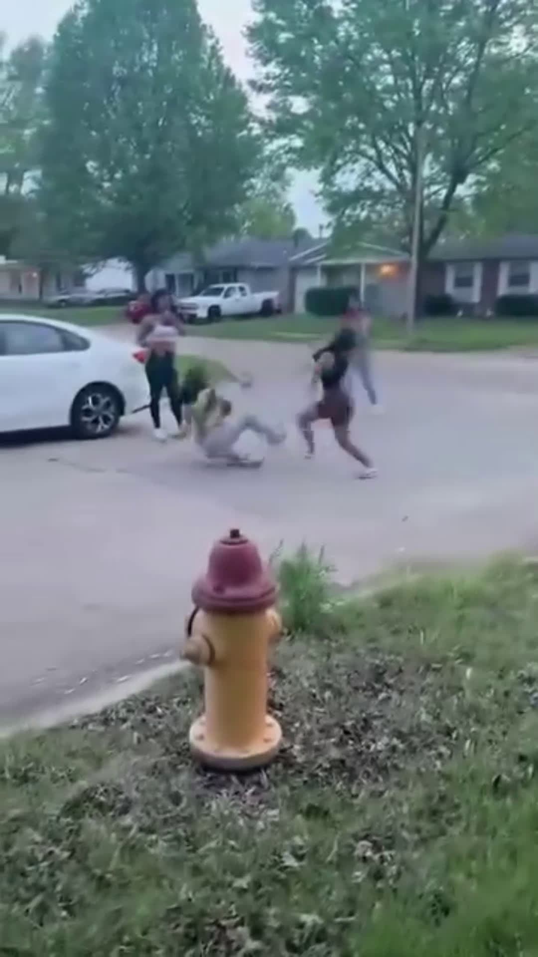 cover for Follow for more  #firstvideochallenge #oddlysatisfying #caughtoncamera #toofunnytoscroll #lifedrama #fightcam #fight