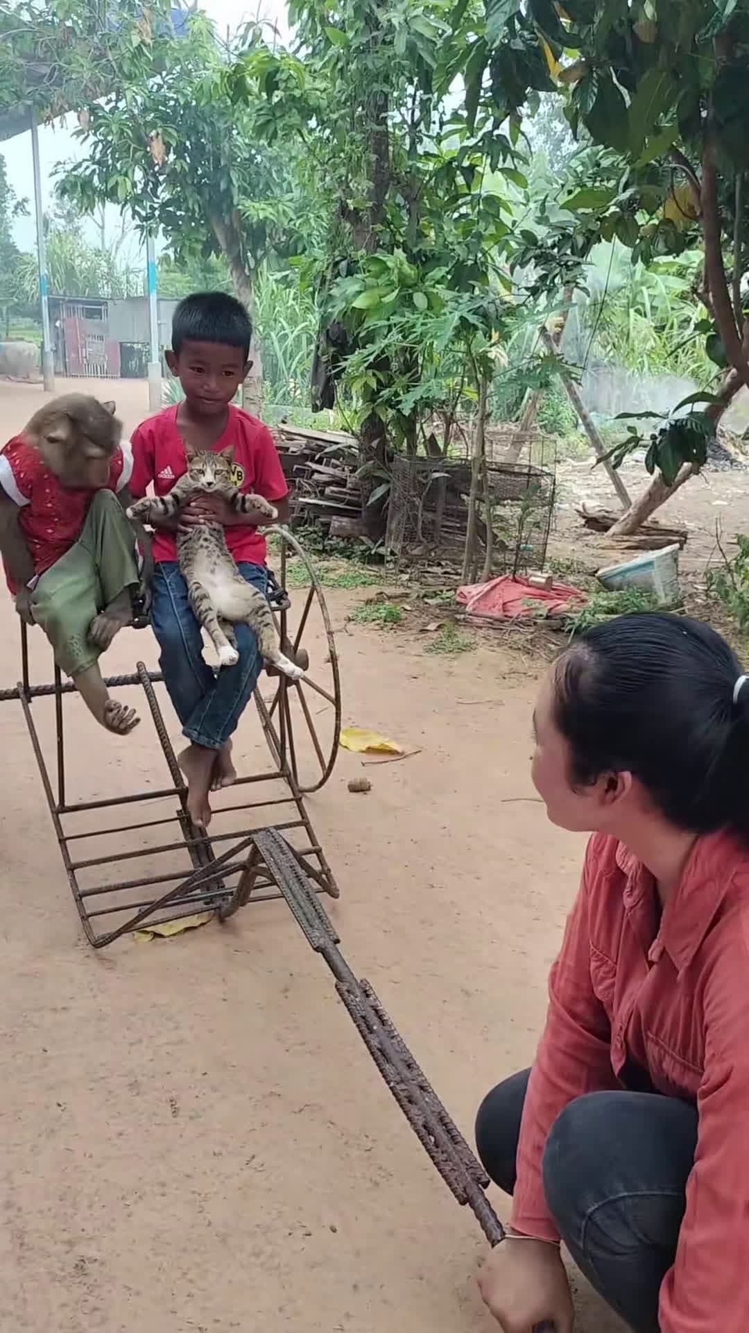 cover for Mr. Monkey & Baby Monkey Playing with Cute Cat 😻🐒