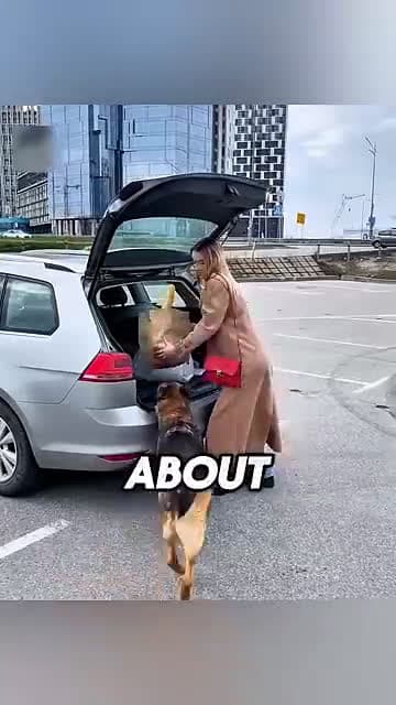 cover for This dog saved their life