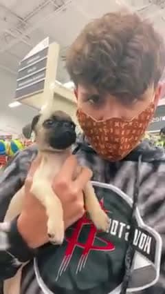 cover for Shopping with Tucker!