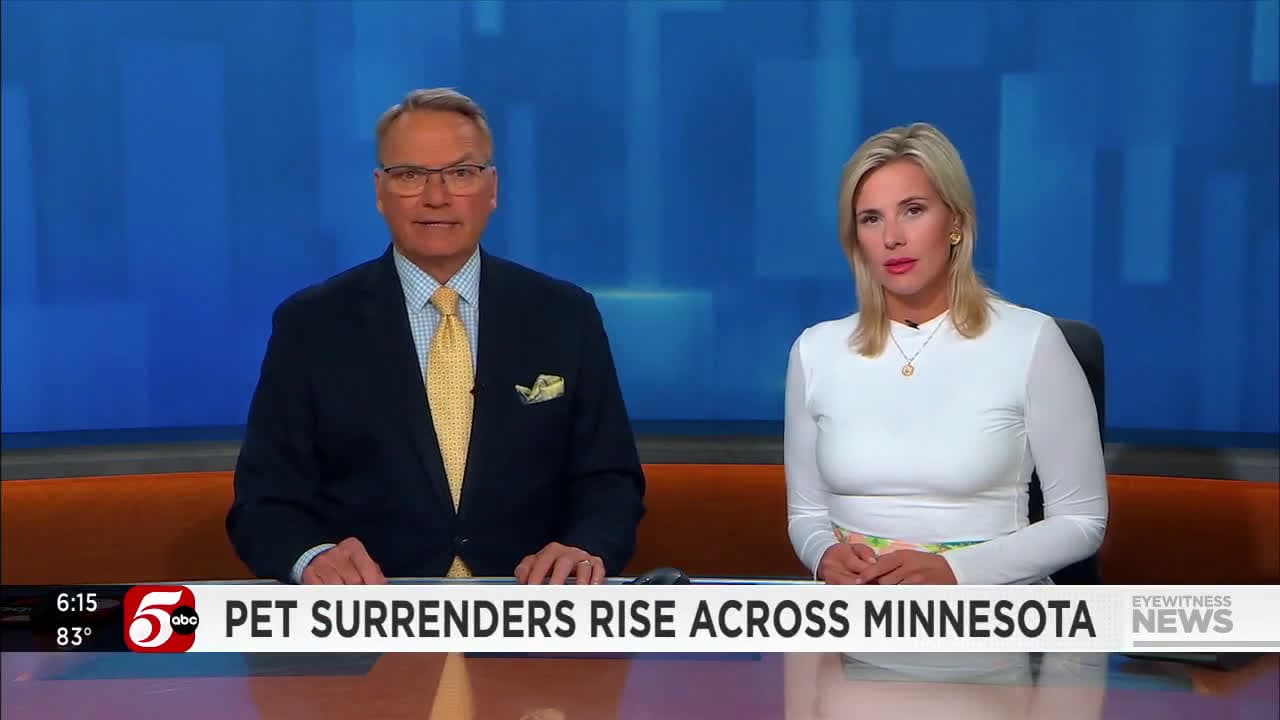 cover for Pet surrenders rise across Minnesota