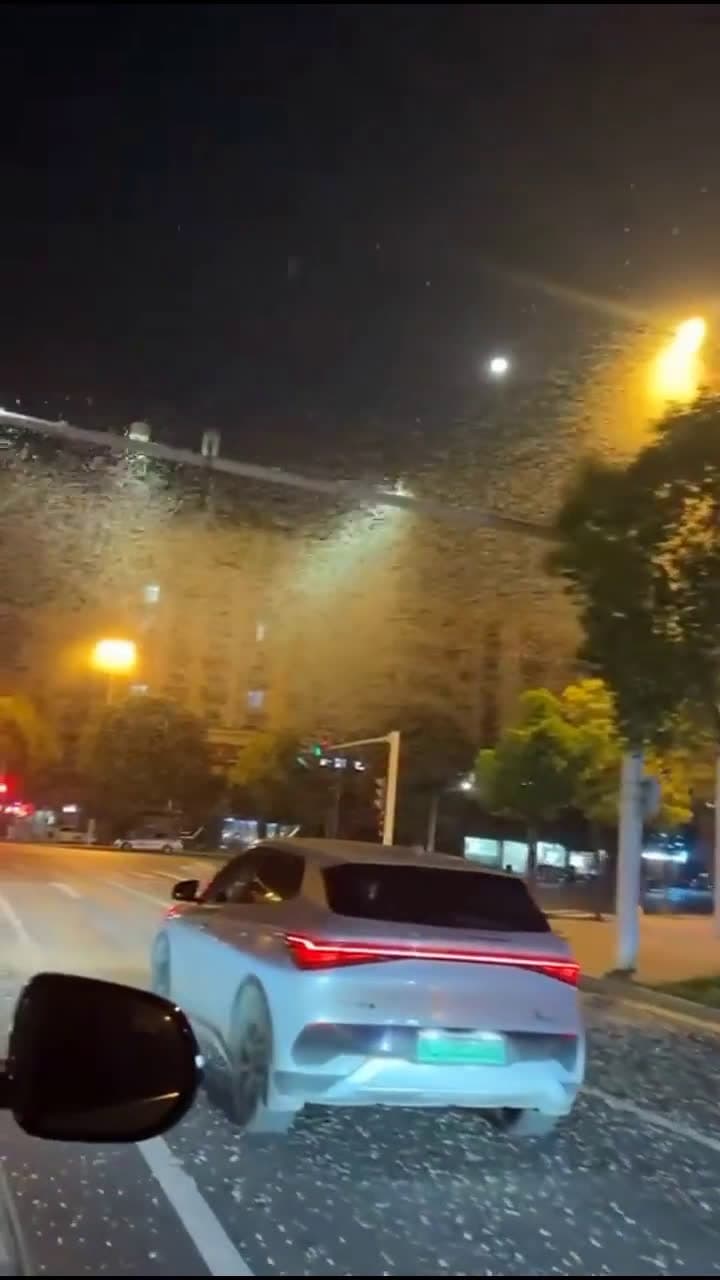cover for Swarm Alert! Massive insect invasion in Hunan, China 🐜🌏 #InsectSwarm #Hunan #NatureWatch