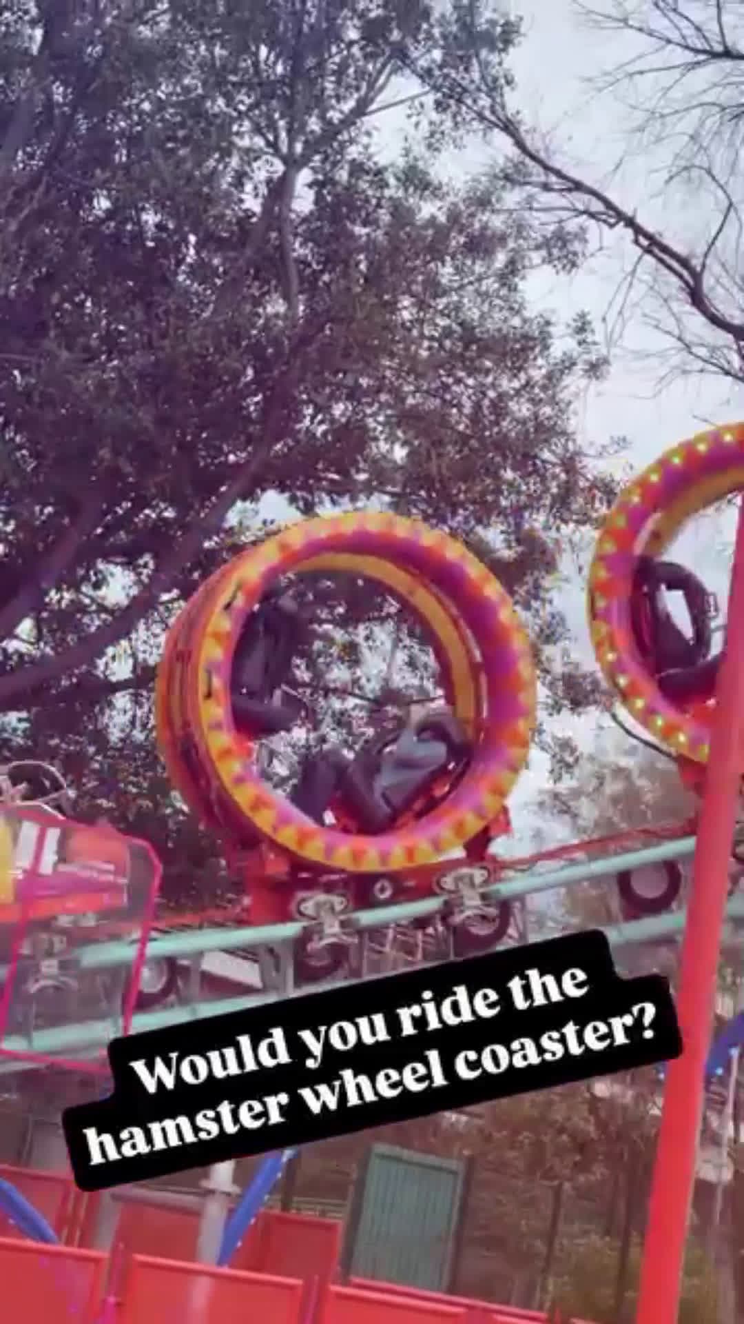 cover for Would you ride the hamster wheel? 