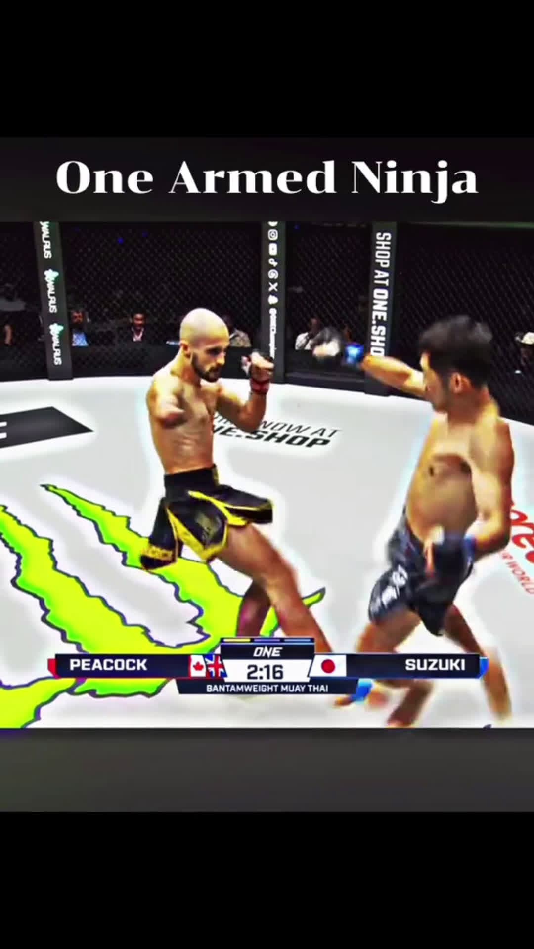 cover for Fighter #FightCam