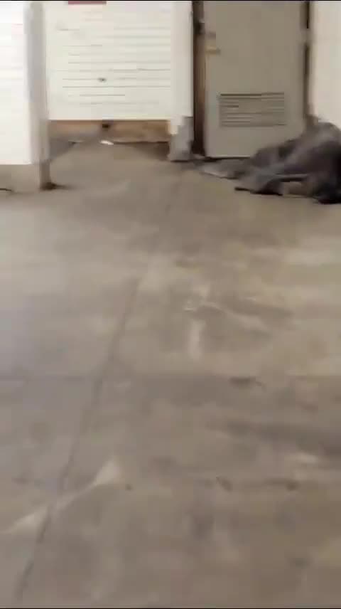 cover for Poor soul, imagine sleeping and this is happening to you and you have no choice 😳