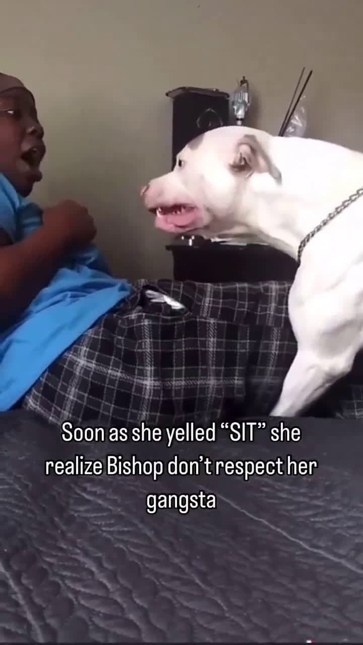 cover for When the bishop refuses to take a seat! 😲 #UnexpectedMoment #Bishop #Funny