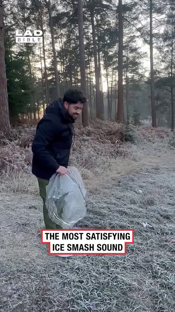 cover for The most satisfying dog trick😂😂