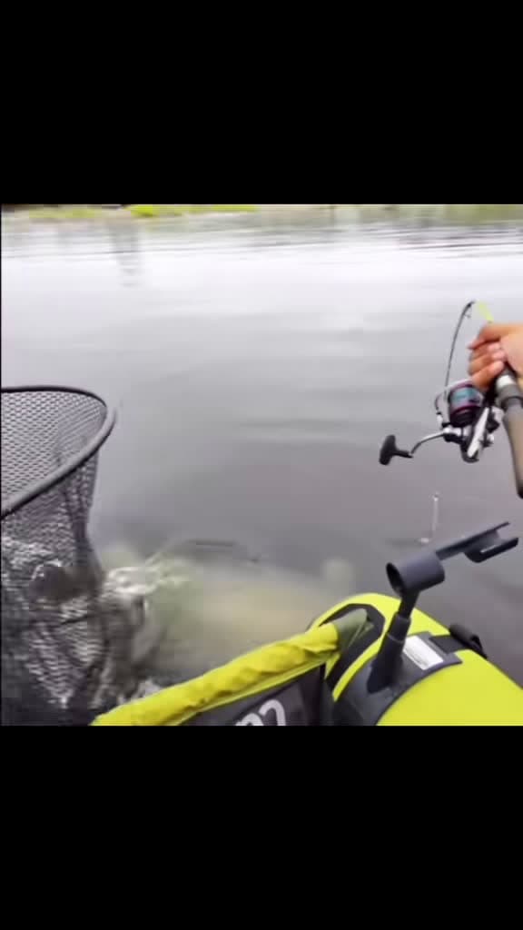 cover for Watch this epic big catch surprise! 🎣 #Fishing #BigCatch #FYP