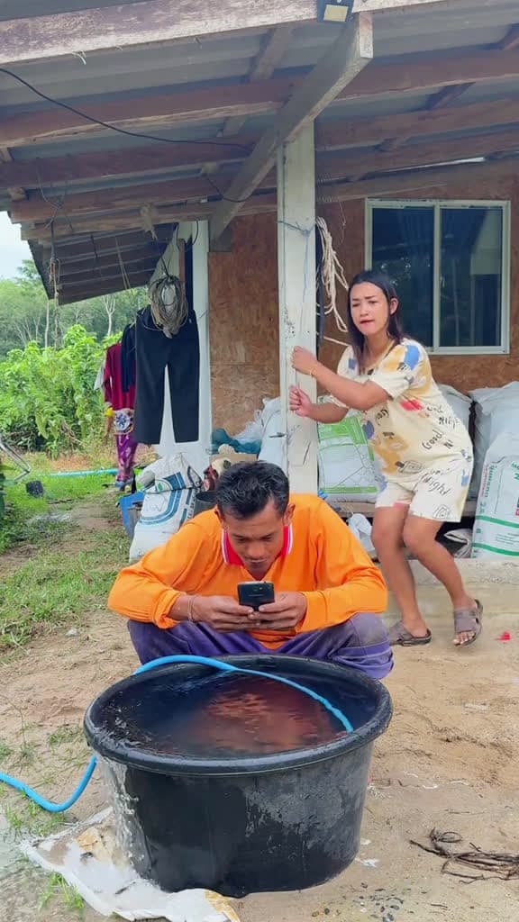 cover for 🤣🤣🤣