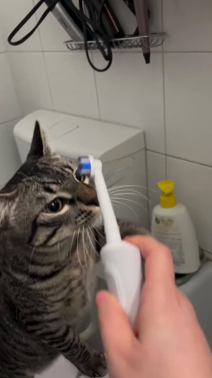 cover for He likes to keep his teeth clean😁