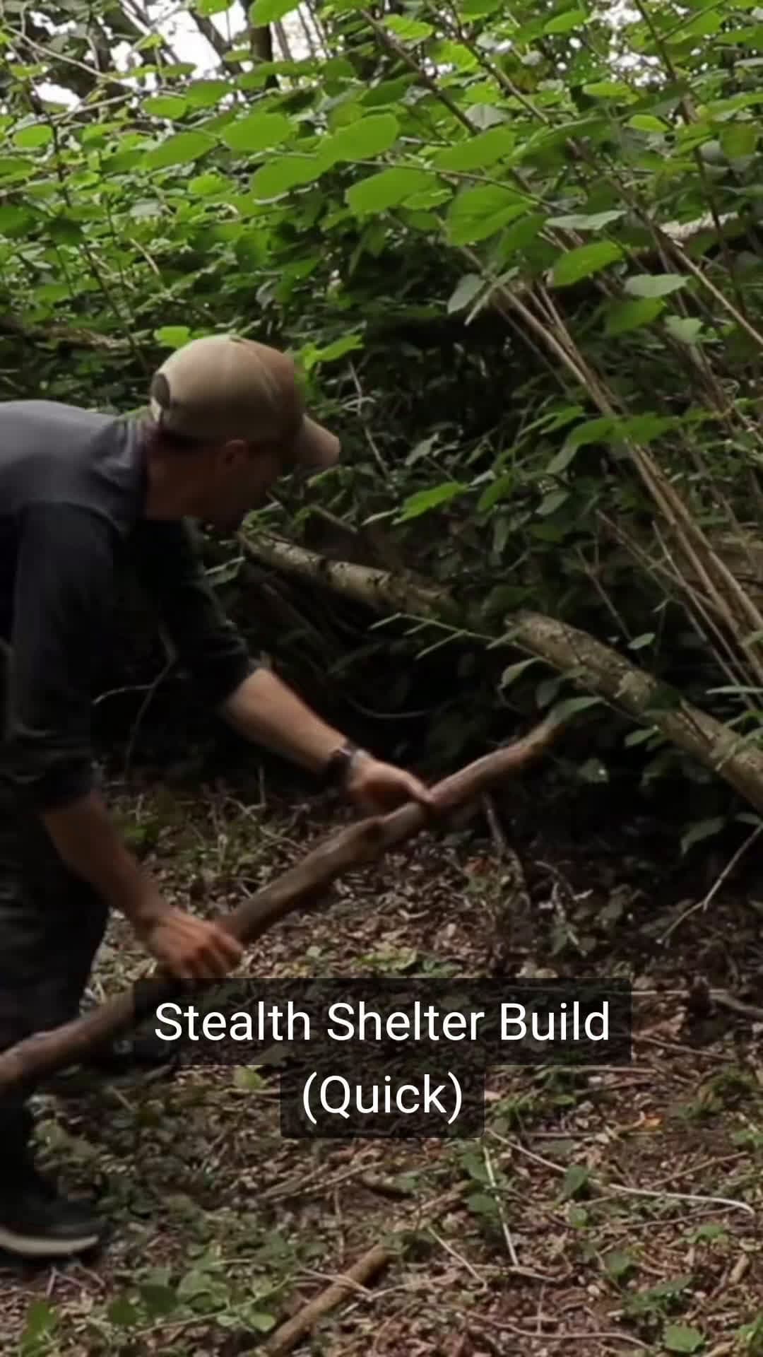 cover for How to build a stealth shelter in just 20 mins with @taoutdoorofficial #survivalskills #stealth #bushcrafting #survivalshelter #outdoorsman #shelter #foryou #foryoupage #fypシ