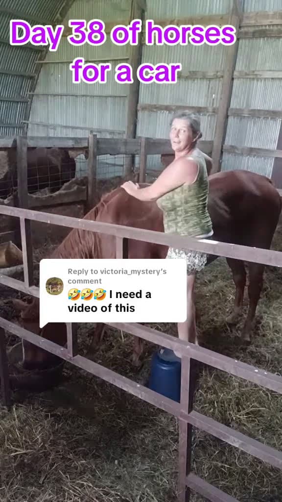 cover for Replying to @victoria_mystery oh man I  am to out of shape for this shenanigans 😅 🙃. Thank you girl for the inspiration for today's video. #horselifestyle #chroniclyillpoorandmakingit #horseontiktok #aroundtheworld #horsesoftik...