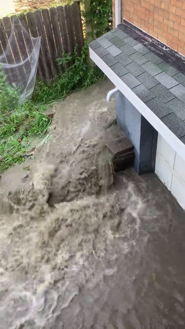 cover for Raw sewage flooded my yard—can my wheat survive this disaster? 🌾💩 #GardeningProblems #SewageLeak #WheatSafety