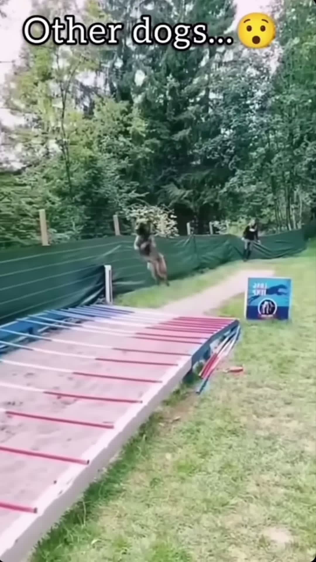 cover for Who let the bunny out? 🐇🤭