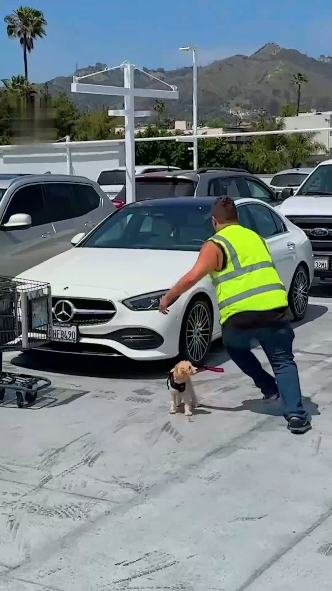 cover for Kindness in the Parking Lot