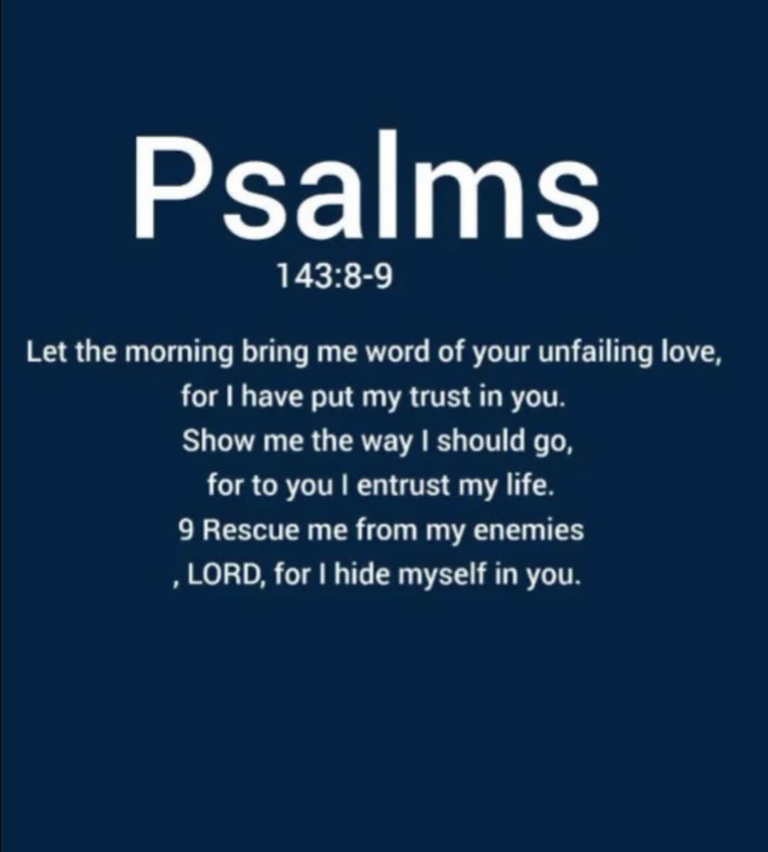 cover for #dailyscriptures 